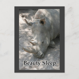 Rhino-Foto mit "Beauty Sleep"-Text Postkarte
