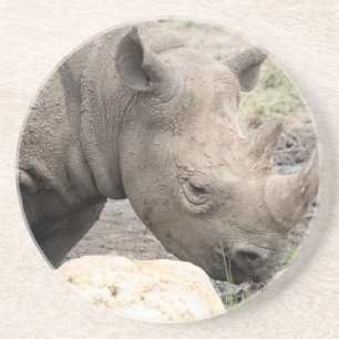 Rhino Getränkeuntersetzer