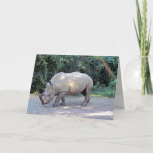 Rhino Greeting Card AK Karte