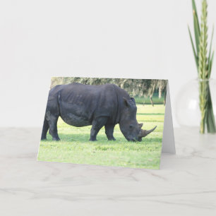 Rhino-Grußkarte Karte