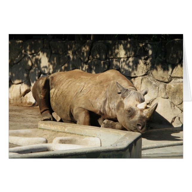 Rhino Grußkarte schlafend (Vorderseite (Horizontal))