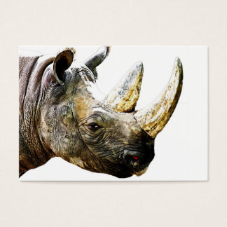 Rhino Head, weißer Hintergrund