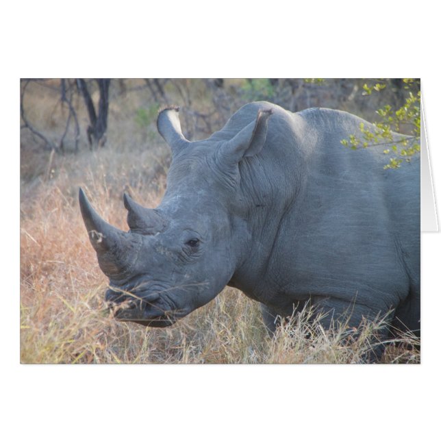 Rhino-Karte (Vorderseite (Horizontal))