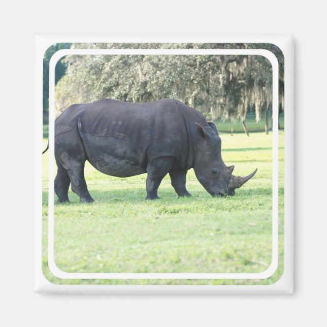 Rhino Magnet (Vorne)
