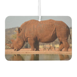 Rhino mit Schlamm auf dem Foto Autolufterfrischer