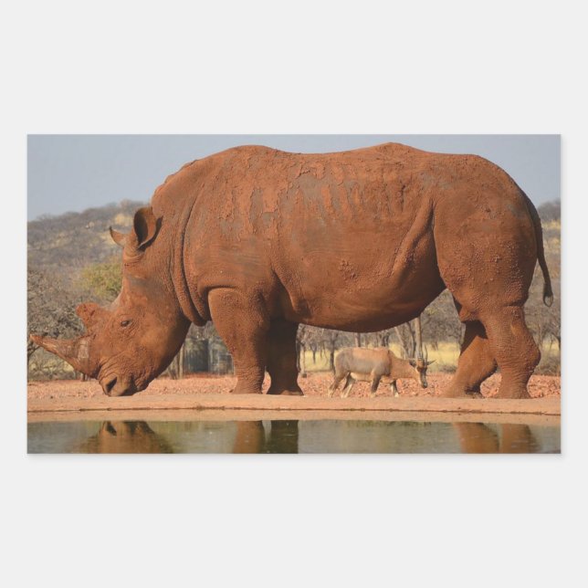 Rhino mit Schlamm auf dem Foto Rechteckiger Aufkleber (Vorderseite)