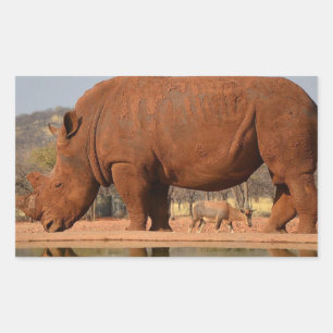 Rhino mit Schlamm auf der Haut Rechteckiger Aufkleber