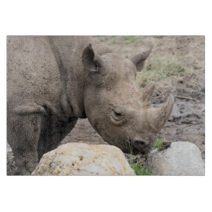 Rhino Schneidebrett