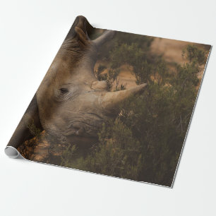 RHINO WILD TIERE GESCHENKPAPIER