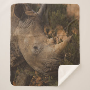 RHINO WILD TIERE SHERPADECKE