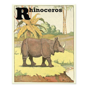 Rhinoceros am Wassersportzentrum Alphabet Fotodruck