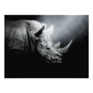Rhinocéros Animal Forêt Sauvage Jungle Nature Rhin Fotodruck