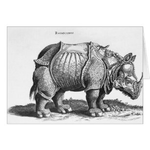 Rhinoceros, aus "Historia Animalium"