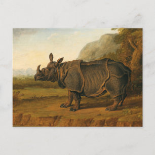 Rhinoceros Clara von Jean-Baptiste Oudry Postkarte