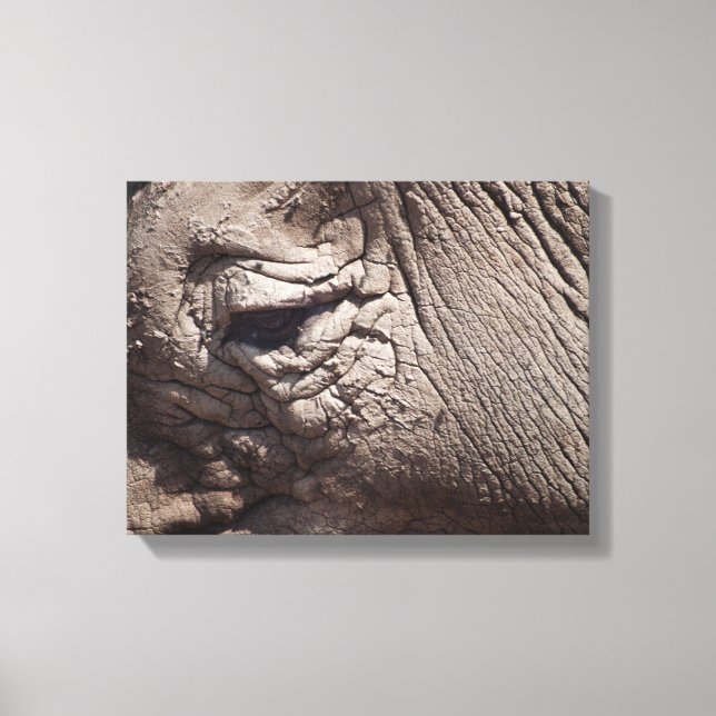 Rhinoceros Eye Leinwanddruck (Vorderseite)