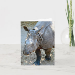 Rhinoceros Foto Faltkarte