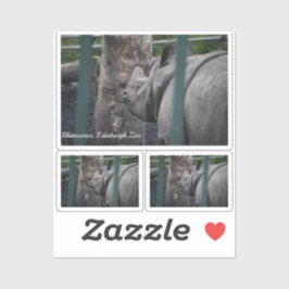 Rhinoceros, großartigere Rhinozeros im Zoo von Edi Aufkleber