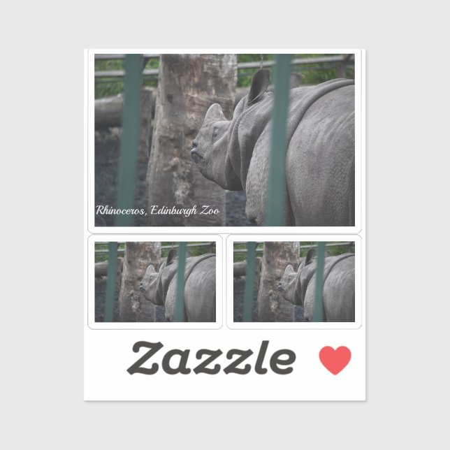Rhinoceros, großartigere Rhinozeros im Zoo von Edi Aufkleber (Blatt)