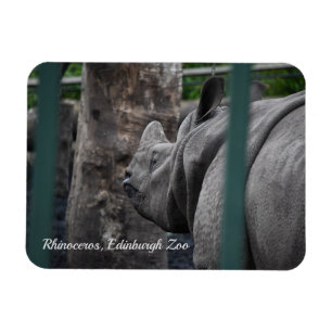 Rhinoceros, großartigere Rhinozeros im Zoo von Edi Magnet