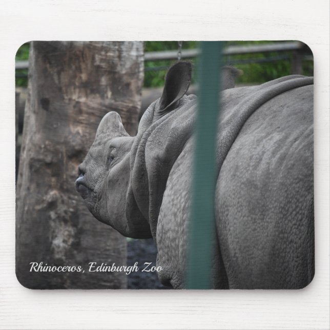 Rhinoceros, großartigere Rhinozeros im Zoo von Edi Mousepad (Vorne)