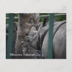 Rhinoceros, großartigere Rhinozeros im Zoo von Edi Postkarte