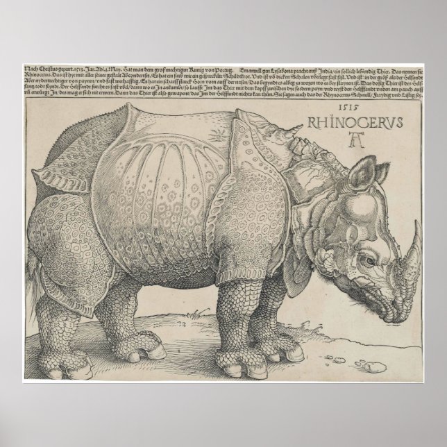 Rhinoceros, Holzschnitt von Albrecht Durer Poster (Vorne)