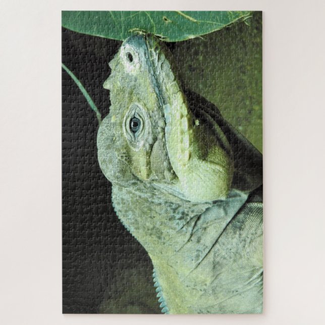 Rhinoceros Iguana Puzzle (Vertikal)
