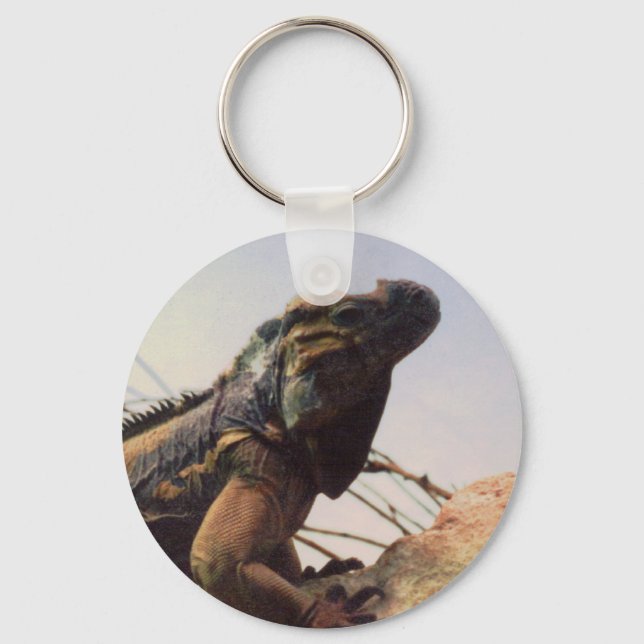 Rhinoceros Iguana Schlüsselanhänger (Vorderseite)