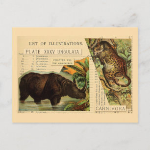 Rhinoceros Jaguar Postkarte