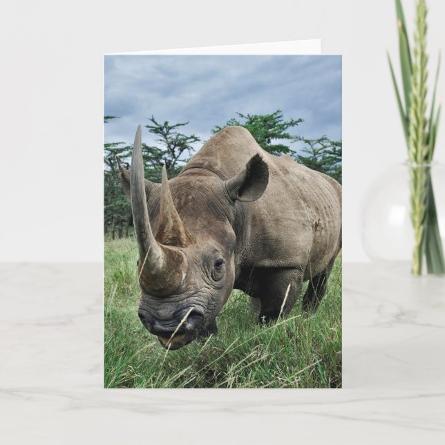 Rhinoceros| Kenia Karte (Vorderseite)