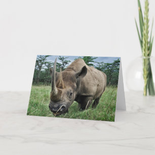 Rhinoceros Kenia Karte