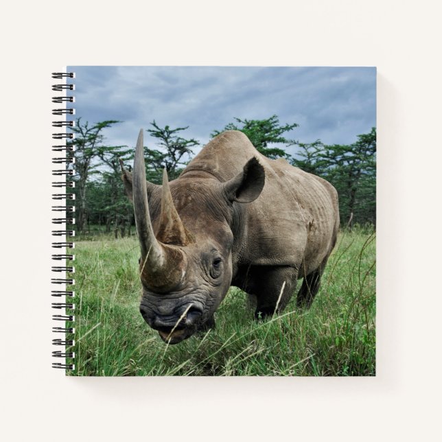 Rhinoceros | Kenia Notizbuch (Vorderseite)