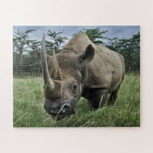 Rhinoceros   Kenia Puzzle