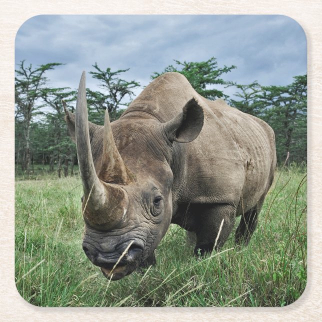 Rhinoceros | Kenia Rechteckiger Pappuntersetzer (Vorderseite)