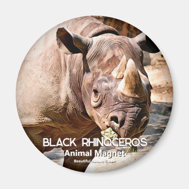 Rhinoceros Magnet (Vorne)