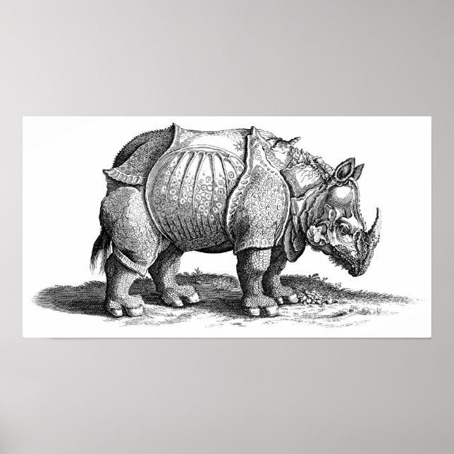 Rhinoceros Poster (Vorne)