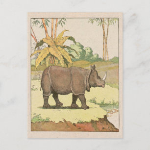 Rhinoceros Story Book Zeichnend Postkarte