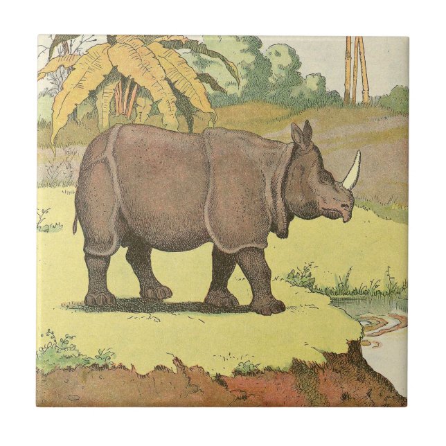 Rhinoceros Storybook Fliese (Vorderseite)