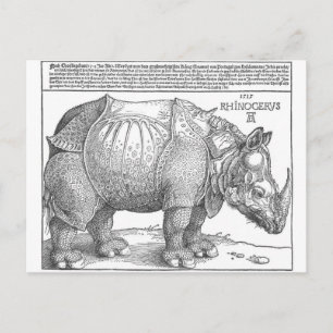 Rhinoceros von Albrecht Durer Postkarte
