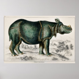 Rhinoceros von Oliver Goldsmith Poster