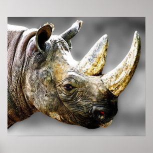 Rhinokopf, graue Hintergrundmalerei Poster