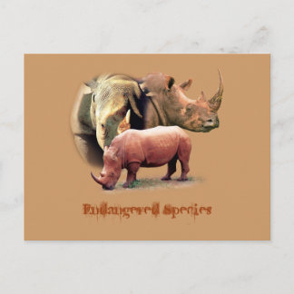 Rhinozeros - gefährdete Tierarten Postkarte