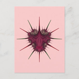 Rhizidio Bug Postkarte