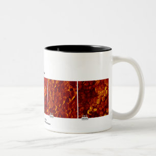 RHK Technologie - Oktober 2007 Bild des Monats Zweifarbige Tasse