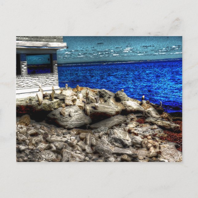 Rhode Island, Narragansett Picture Postkarte (Vorderseite)