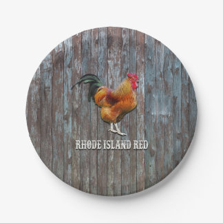Rhode Island Pappteller