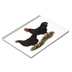 Rhode Island Red Bantams Notizblock