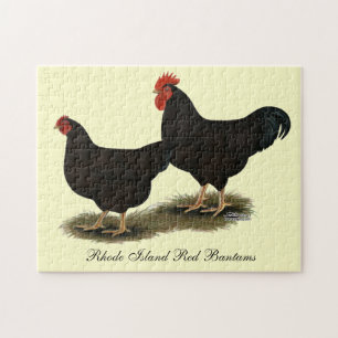 Rhode Island Red Bantams Puzzle