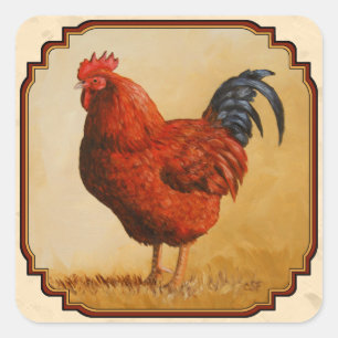 Rhode Island Red Chicken Beige Quadratischer Aufkleber
