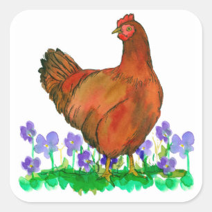 Rhode Island Red Chicken Watercolor Violetten Quadratischer Aufkleber